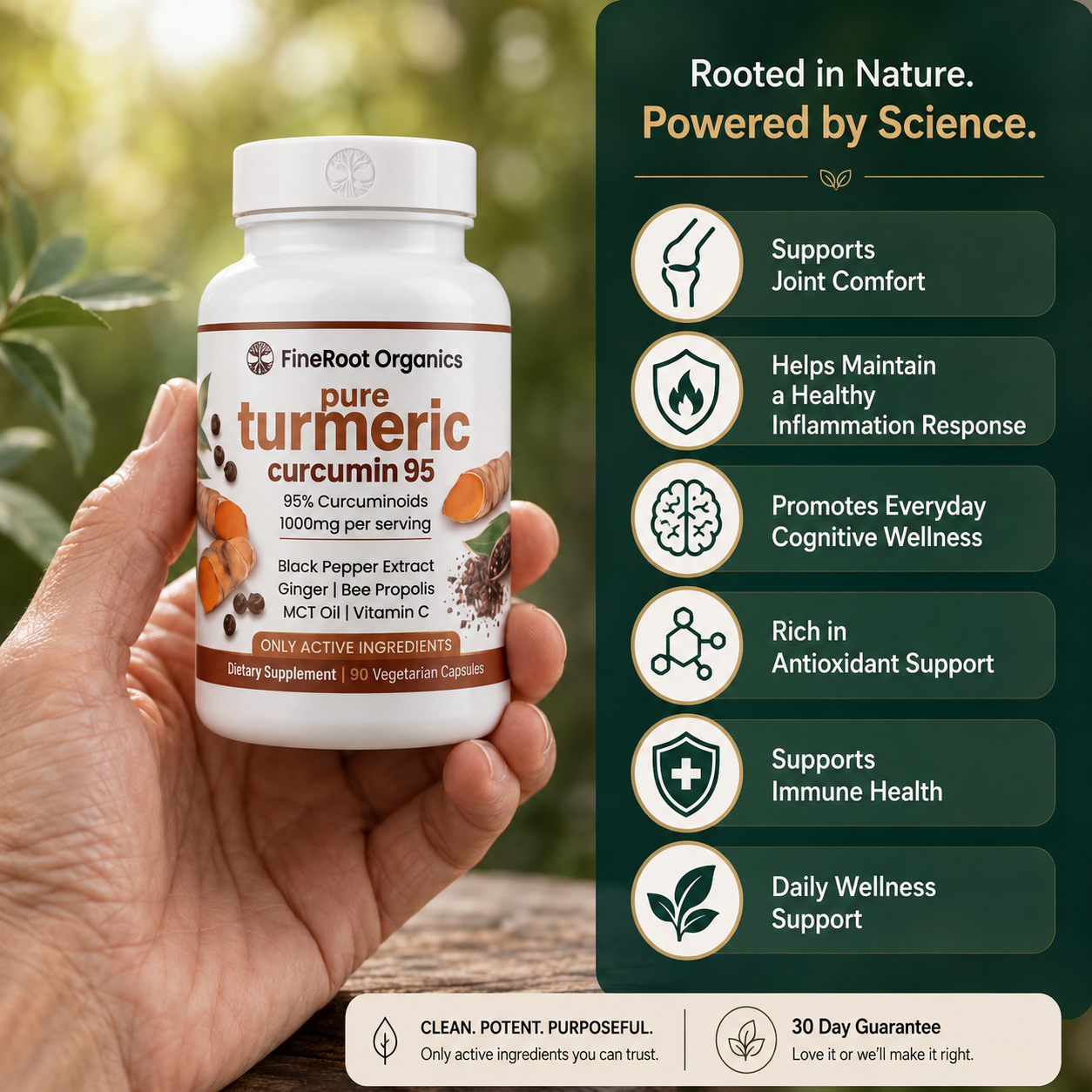 Pure Curcumin Turmeric Capsules (1,000mg)